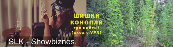 тгк Каменка