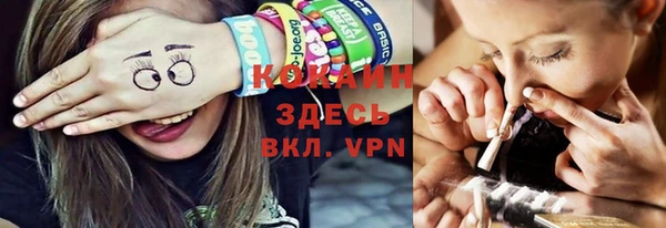 тгк Каменка
