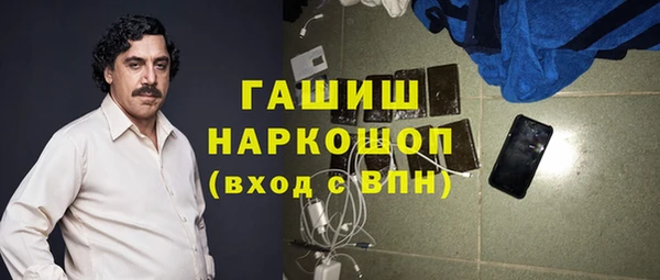 тгк Каменка