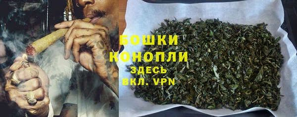 тгк Каменка
