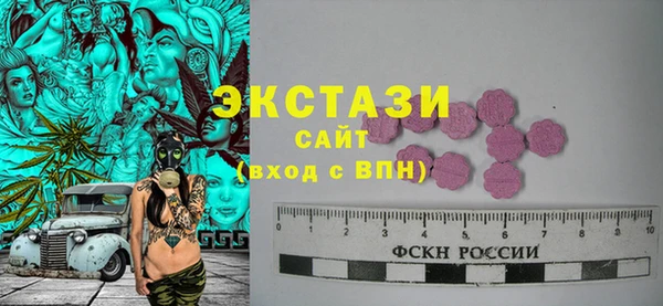 тгк Каменка