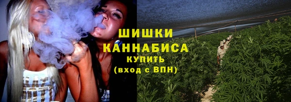 тгк Каменка