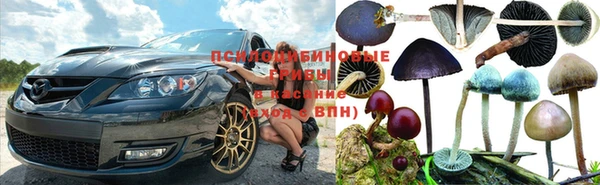 Альфа ПВП Каменск-Шахтинский