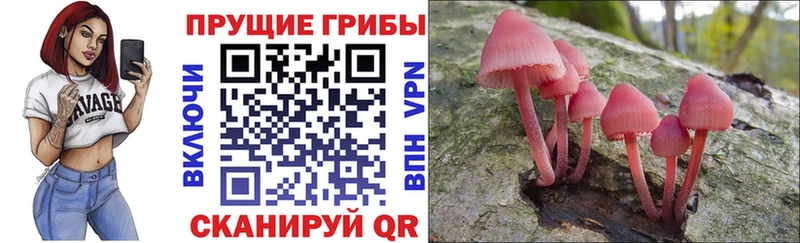 гидра ссылка  Пушкино  Псилоцибиновые грибы Magic Shrooms 