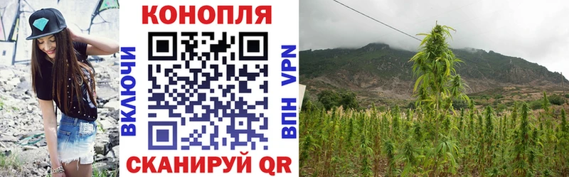 Каннабис планчик  Пушкино 